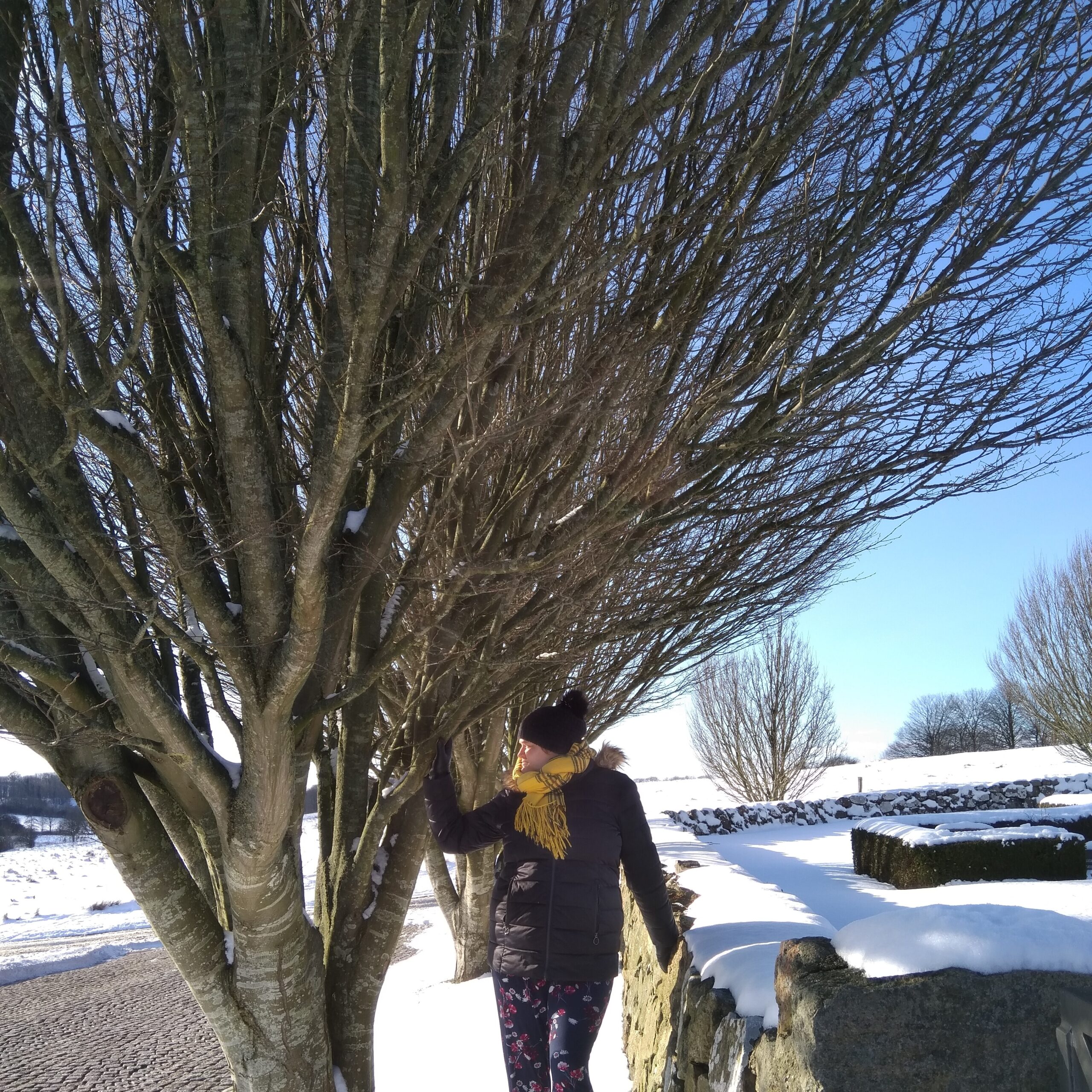 Mit første blog indlæg